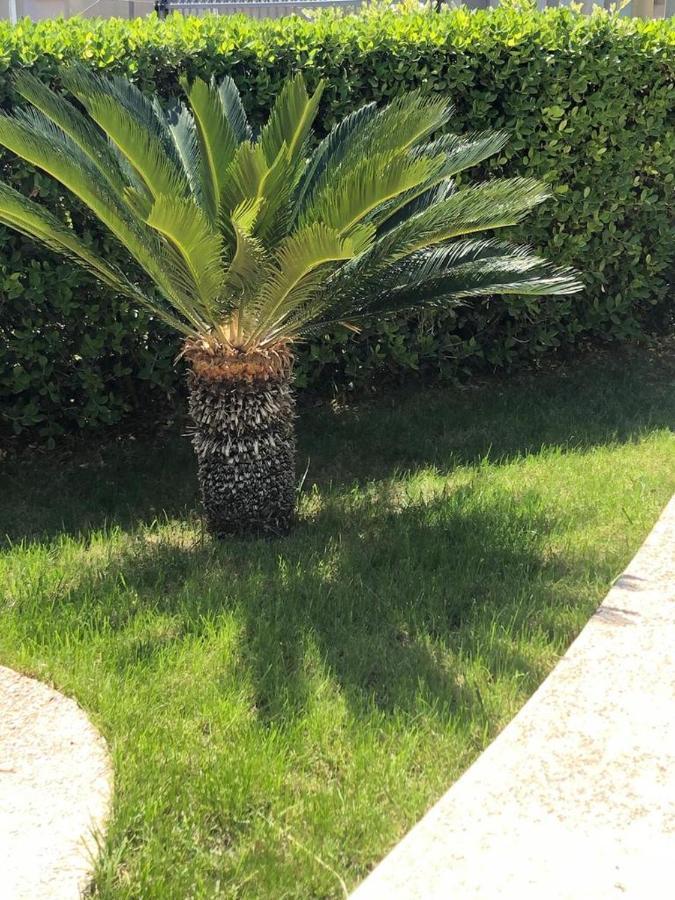 Appartamento L'Ulivo Brancaleone Marina Exteriör bild